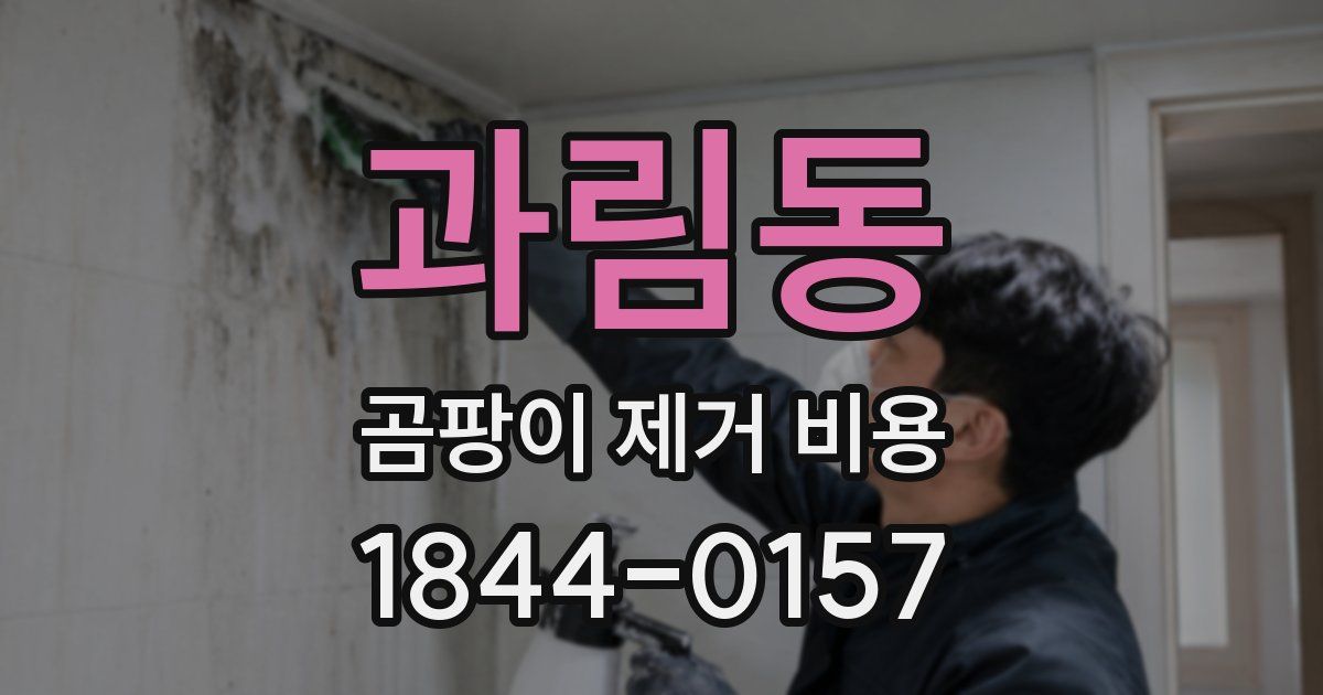 과림동 곰팡이 제거 비용