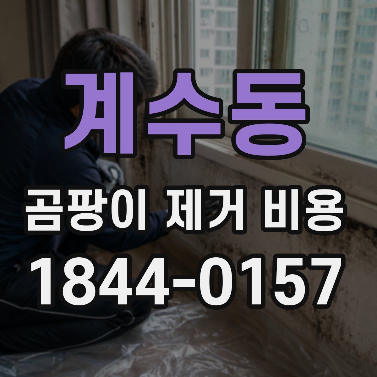 계수동 곰팡이 제거 비용