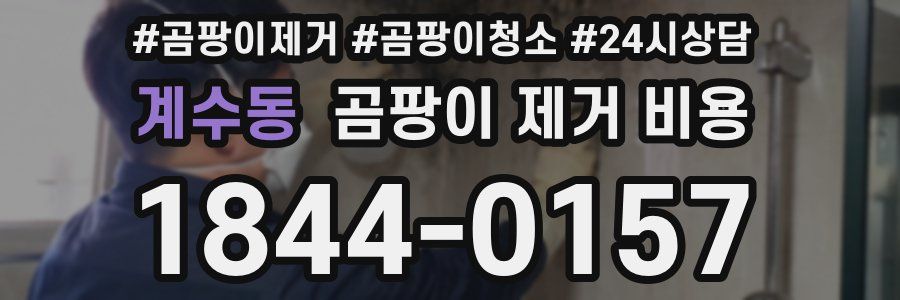 계수동 곰팡이 제거 비용