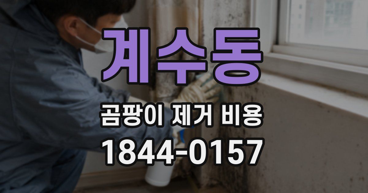 계수동 곰팡이 제거 비용