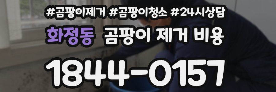 화정동 곰팡이 제거 비용