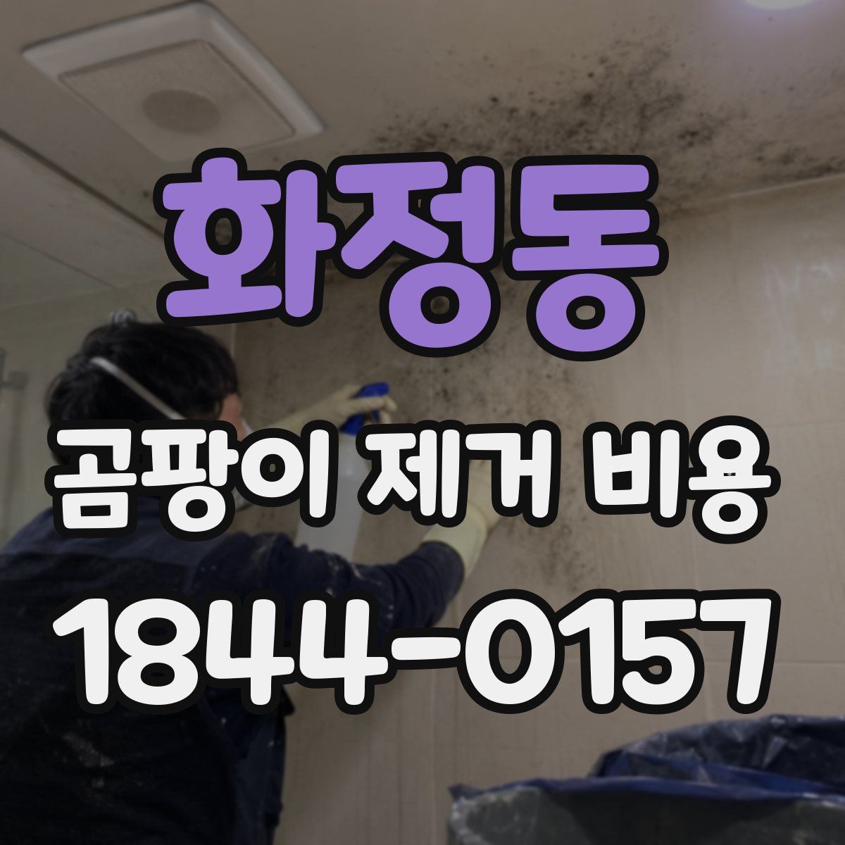 화정동 곰팡이 제거 비용