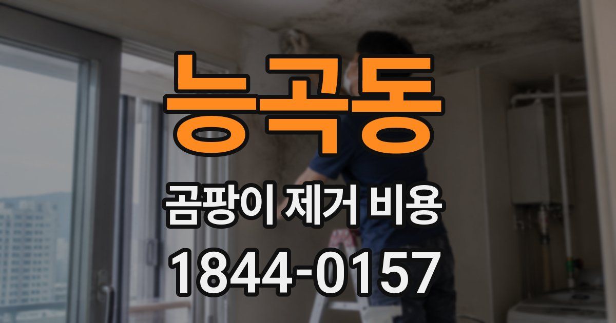 능곡동 곰팡이 제거 비용