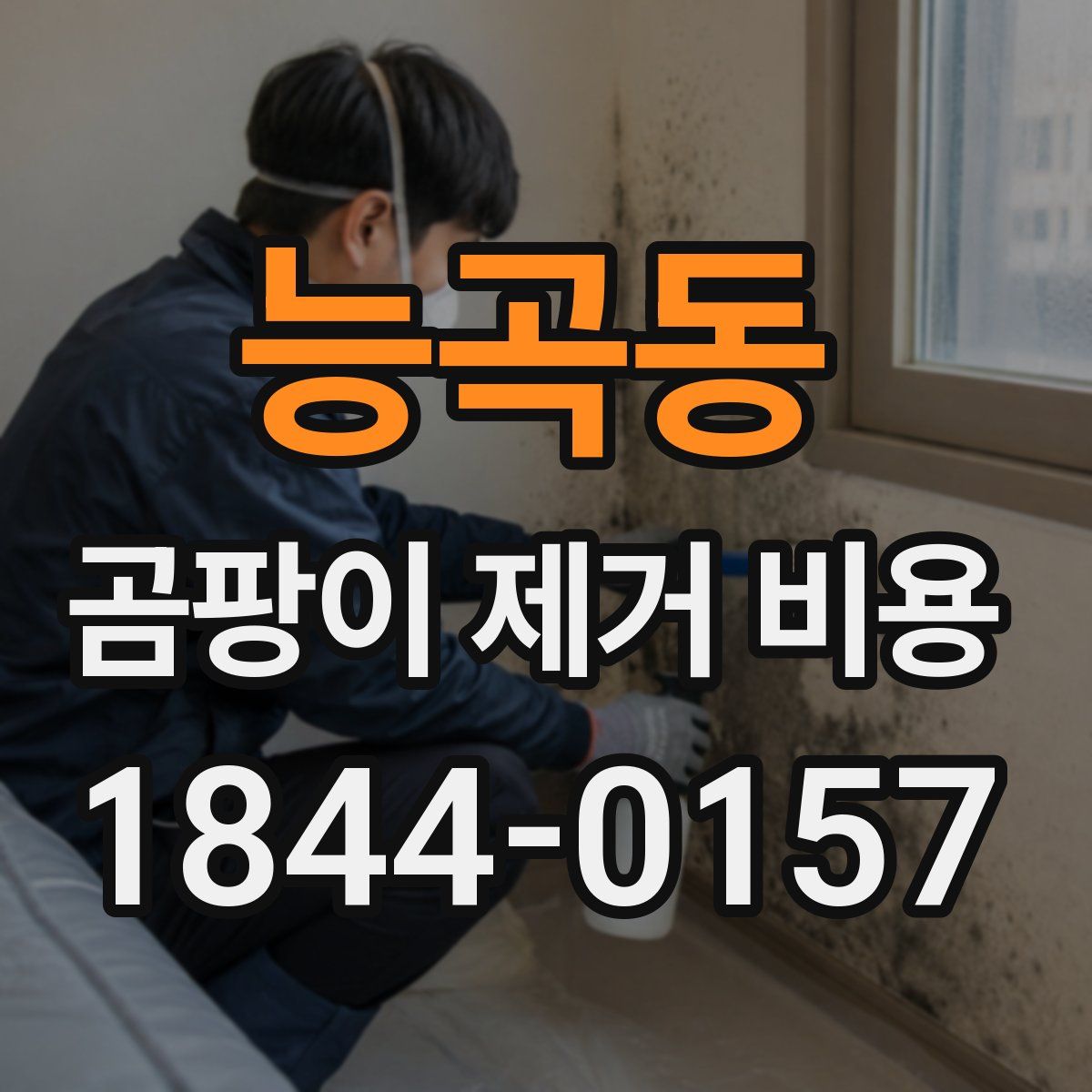 능곡동 곰팡이 제거 비용