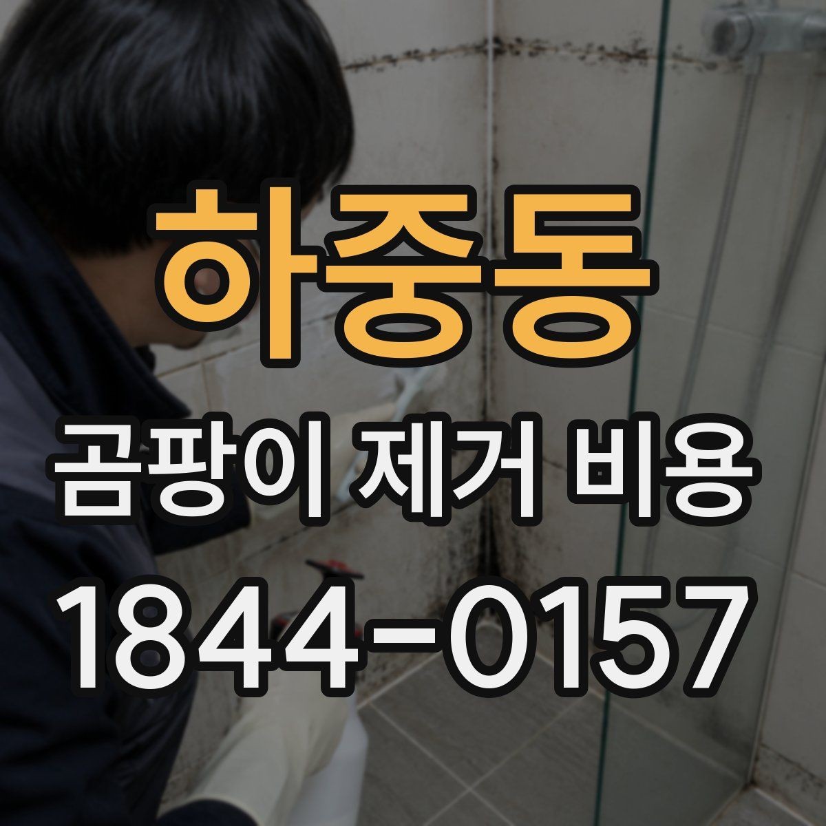 하중동 곰팡이 제거 비용 벽지 교체가 필요한 경우와 아닌 경우