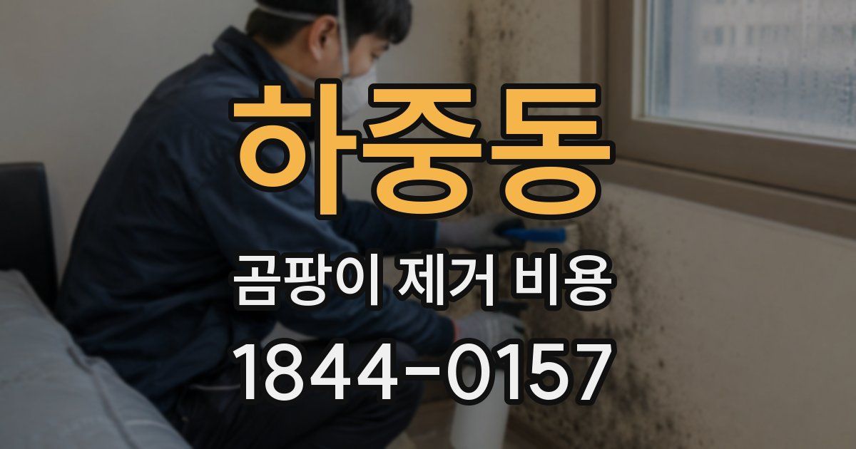 하중동 곰팡이 제거 비용