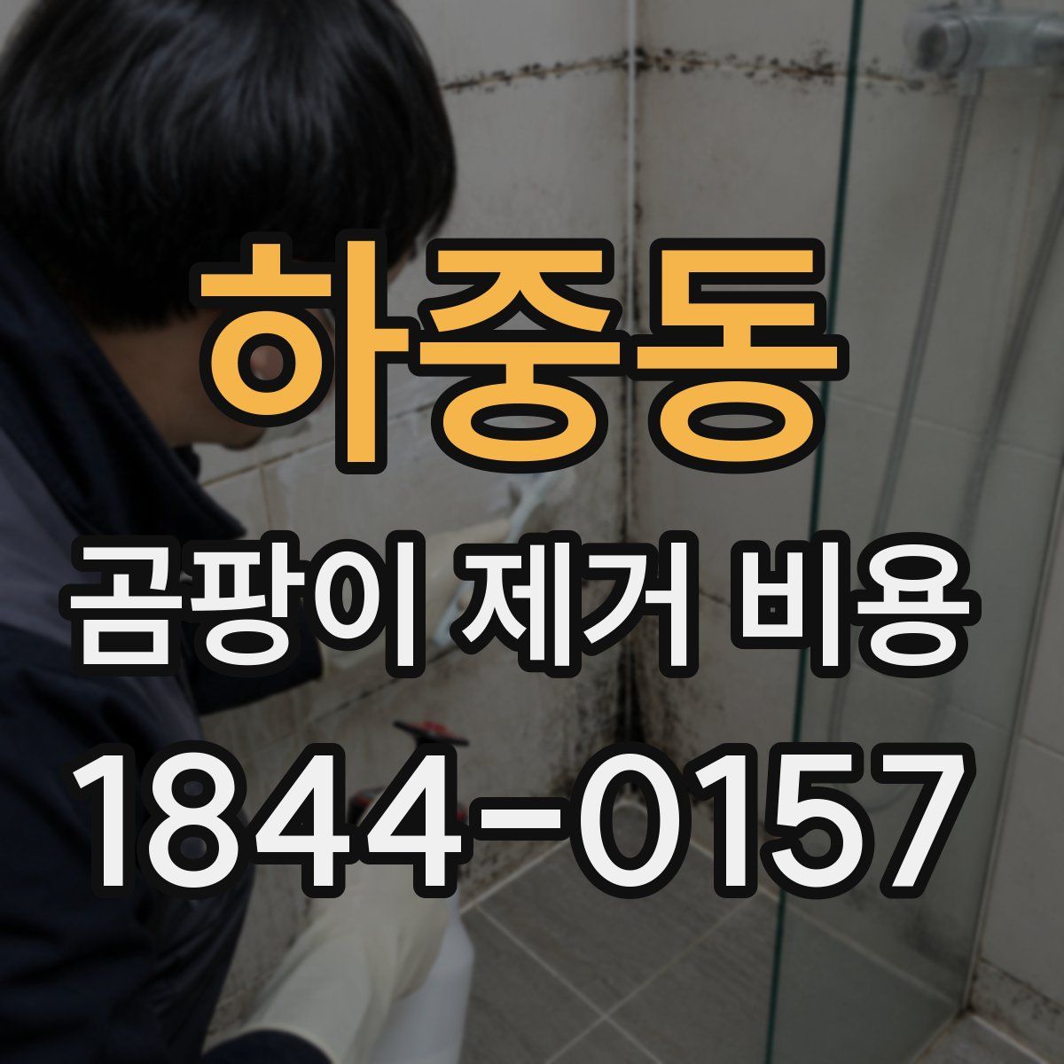 하중동 곰팡이 제거 비용