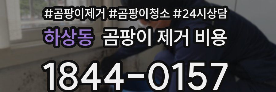 하상동 곰팡이 제거 비용