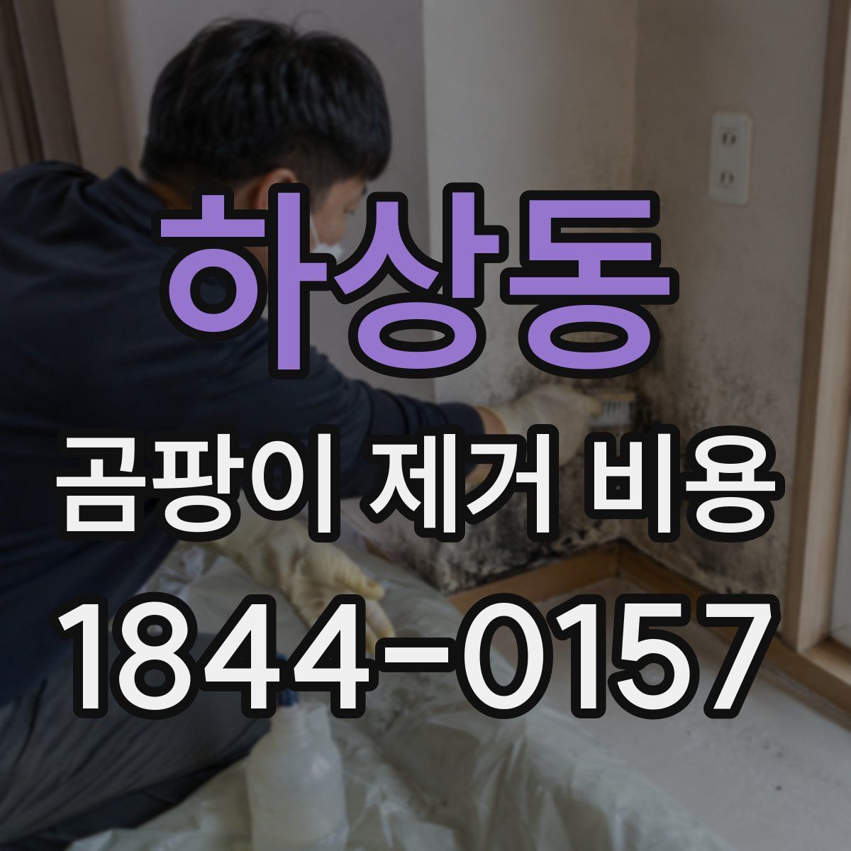 하상동 곰팡이 제거 비용