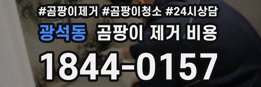 광석동 곰팡이 제거 비용