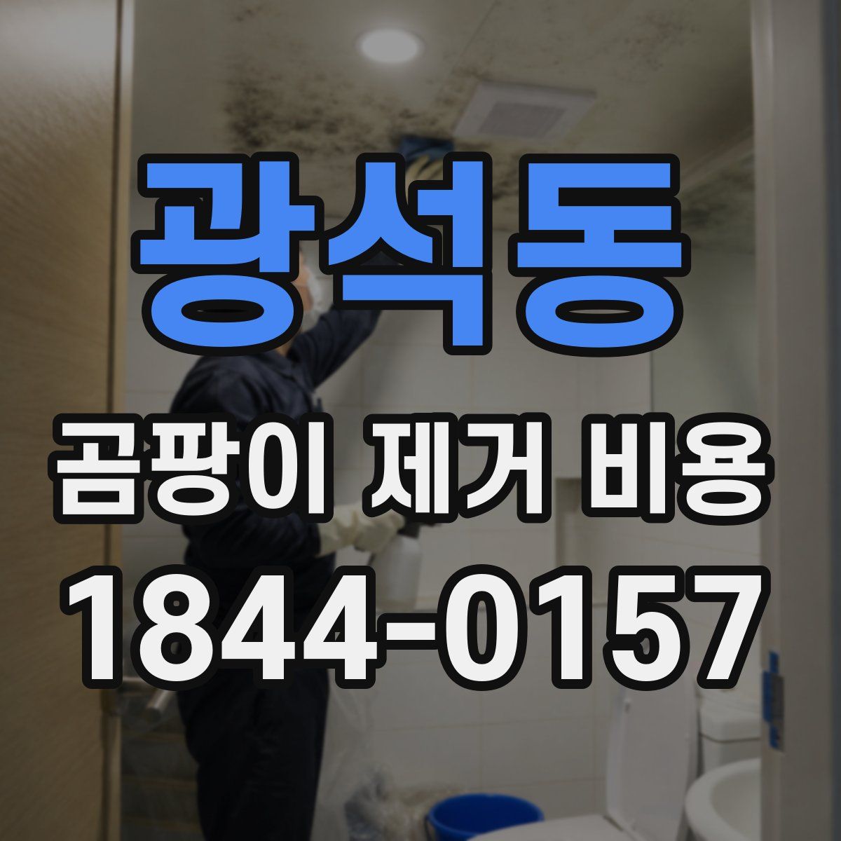 광석동 곰팡이 제거 비용