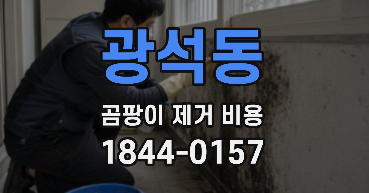 광석동 곰팡이 제거 비용