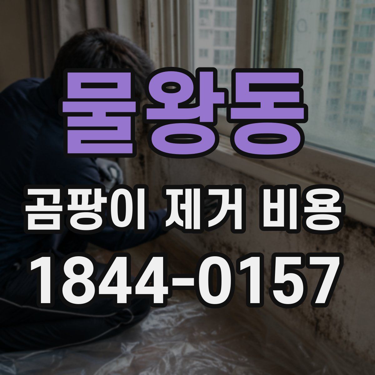 물왕동 곰팡이 제거 비용