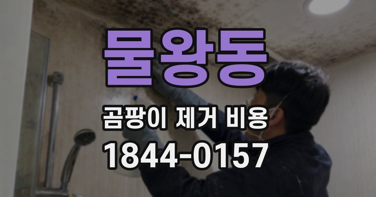 물왕동 곰팡이 제거 비용