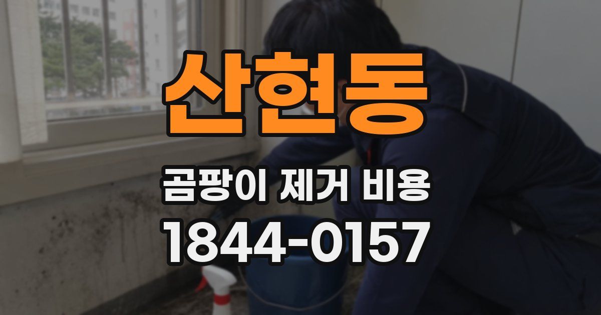 산현동 곰팡이 제거 비용