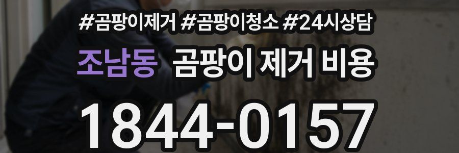 조남동 곰팡이 제거 비용