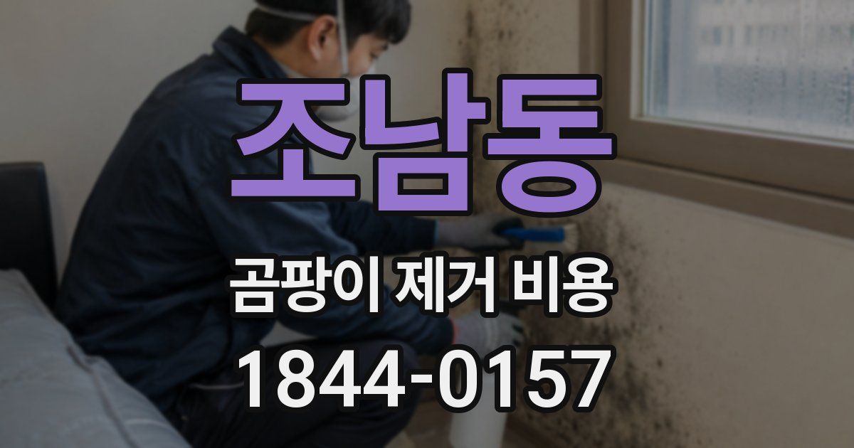 조남동 곰팡이 제거 비용