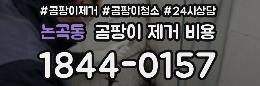 논곡동 곰팡이 제거 비용