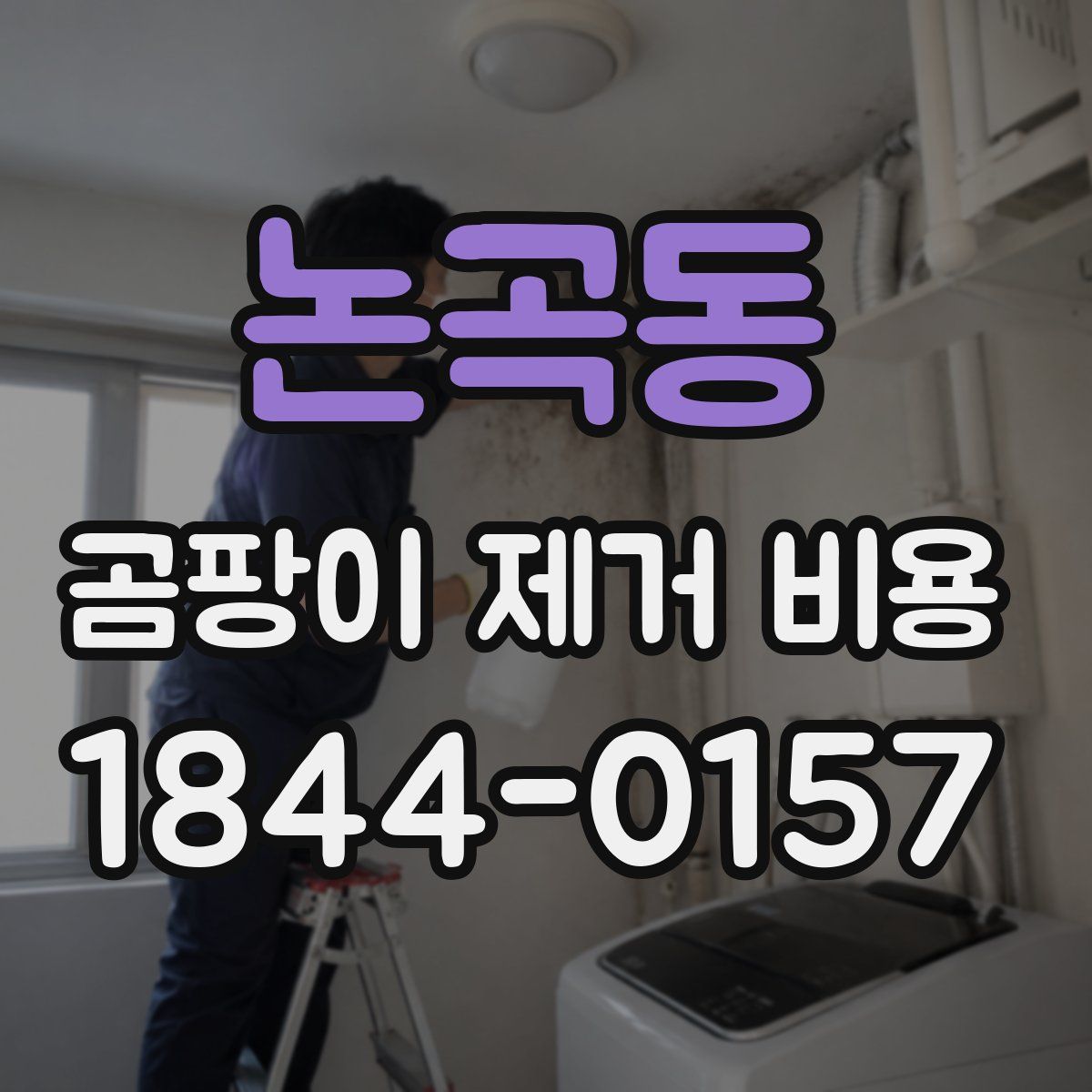 논곡동 곰팡이 제거 비용