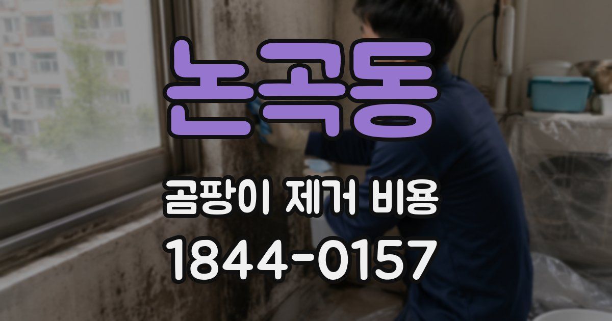 논곡동 곰팡이 제거 비용