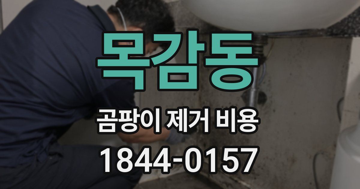 목감동 곰팡이 제거 비용