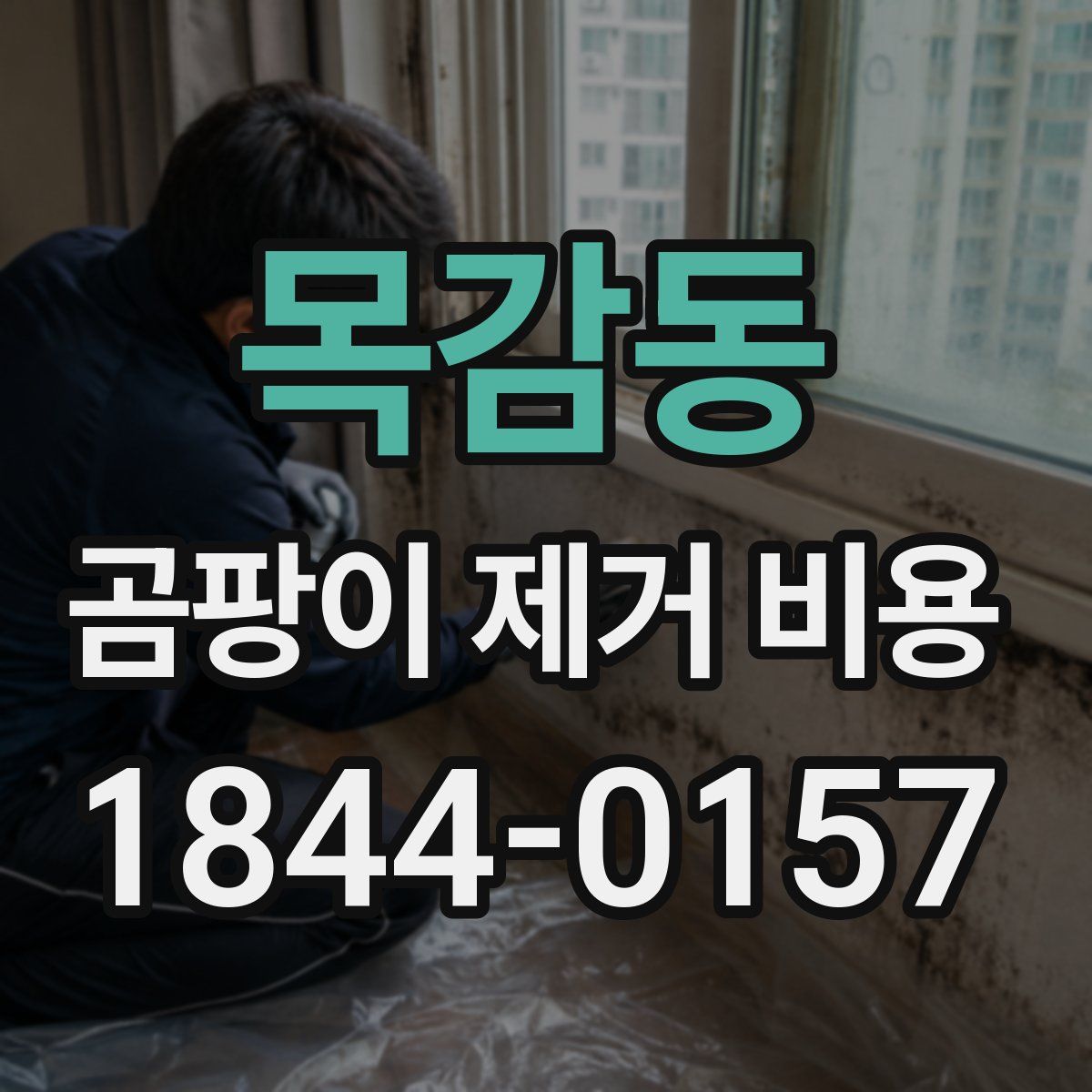 목감동 곰팡이 제거 비용