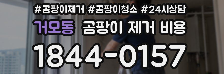 거모동 곰팡이 제거 비용