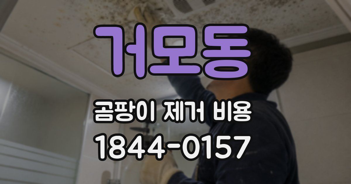 거모동 곰팡이 제거 비용