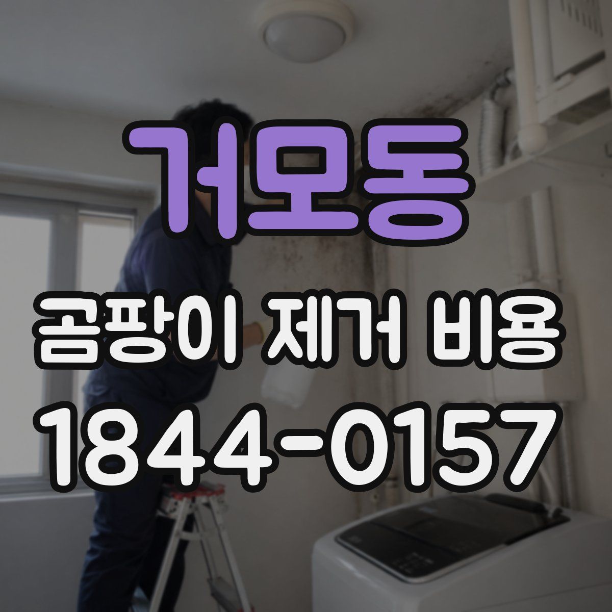 거모동 곰팡이 제거 비용