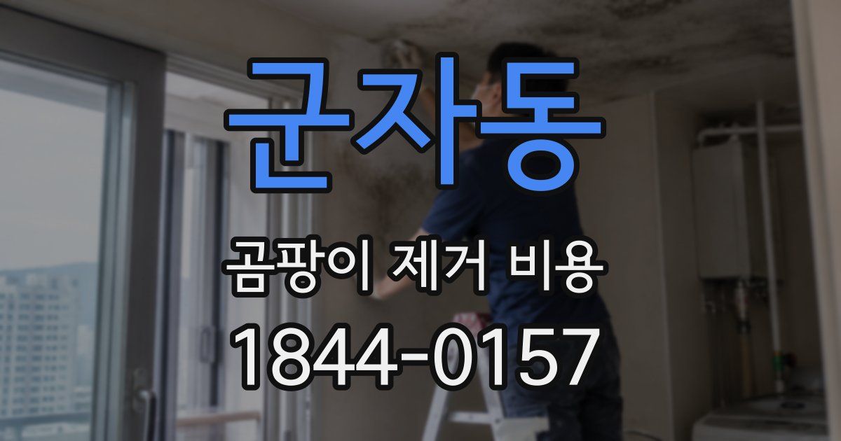 군자동 곰팡이 제거 비용