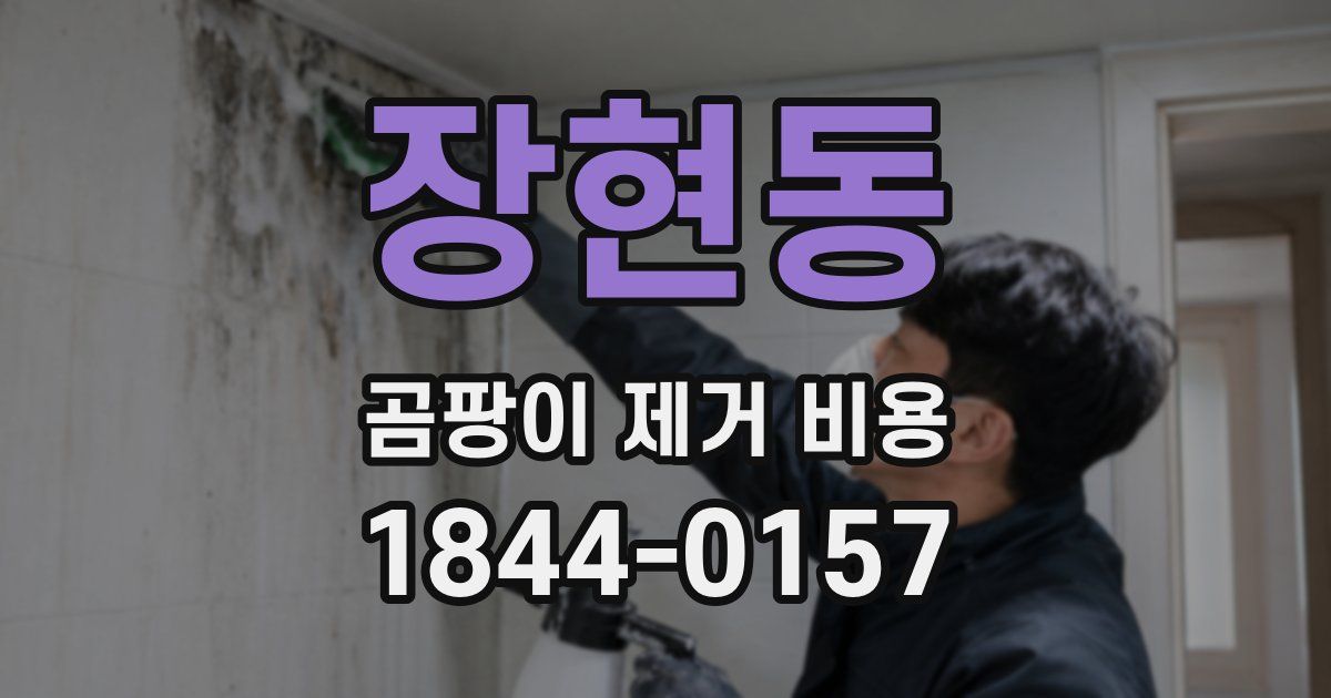 장현동 곰팡이 제거 비용