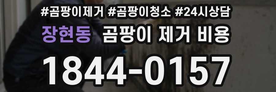 장현동 곰팡이 제거 비용