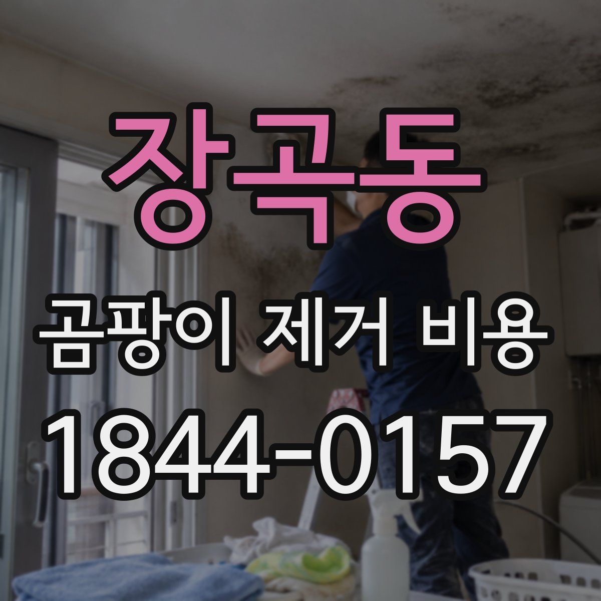 장곡동 곰팡이 제거 비용