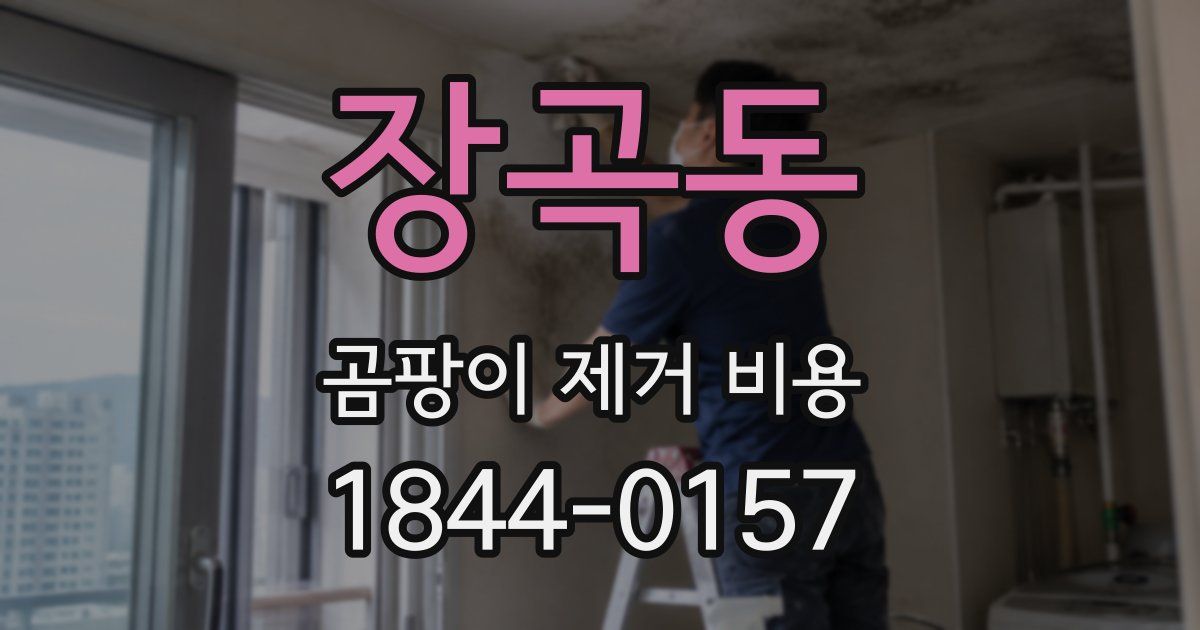장곡동 곰팡이 제거 비용