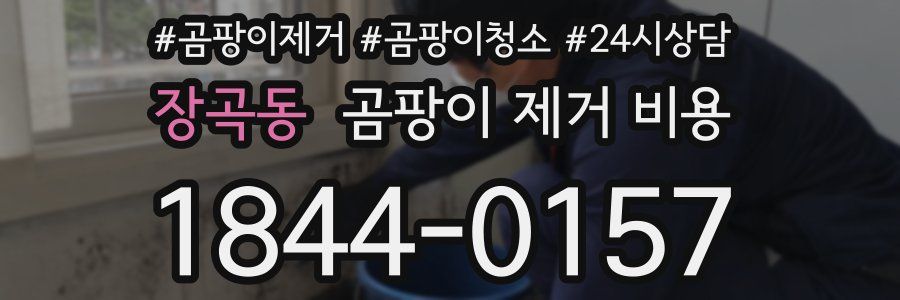 장곡동 곰팡이 제거 비용