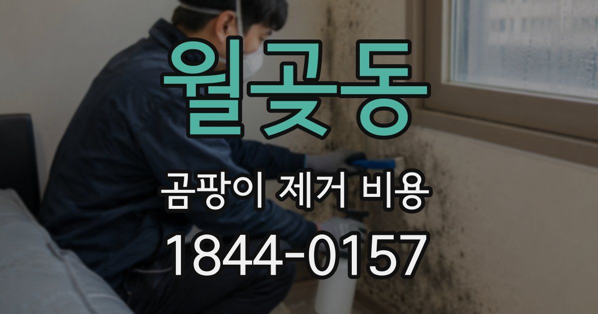 월곶동 곰팡이 제거 비용