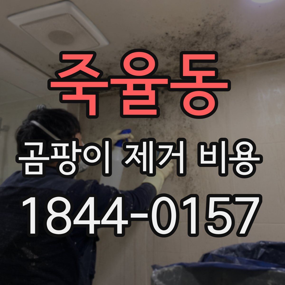 죽율동 곰팡이 제거 비용