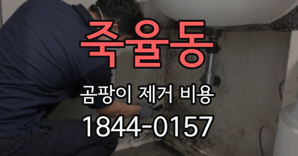 죽율동 곰팡이 제거 비용