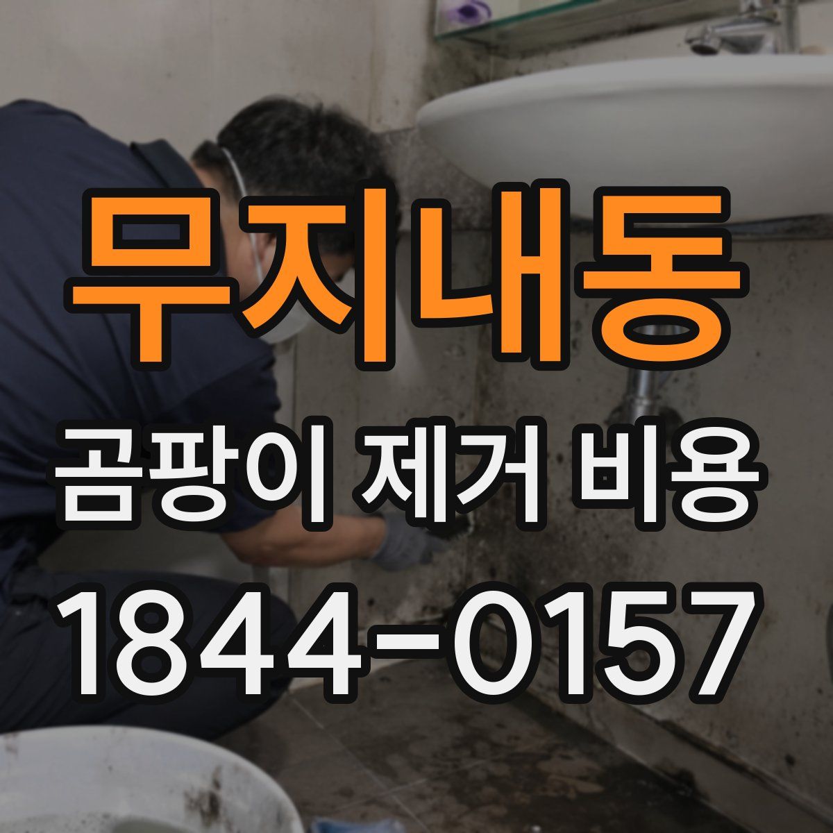 무지내동 곰팡이 제거 비용