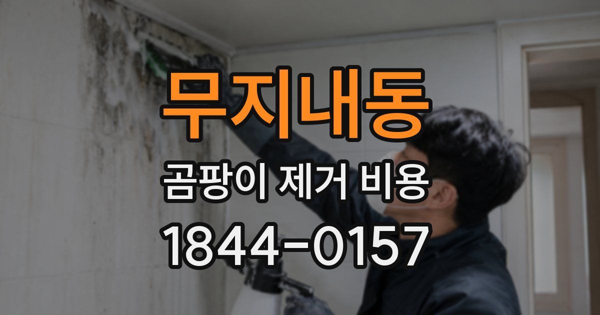 무지내동 곰팡이 제거 비용