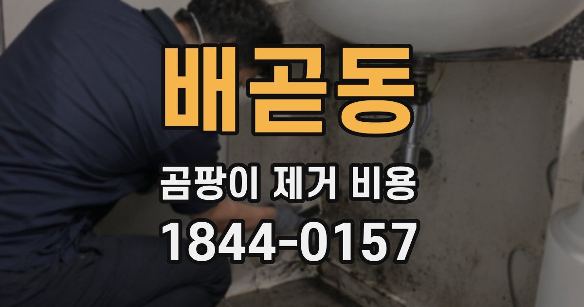 배곧동 곰팡이 제거 비용