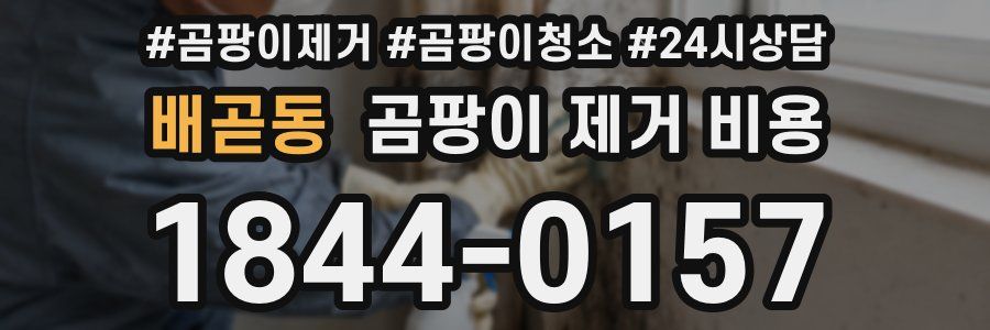 배곧동 곰팡이 제거 비용