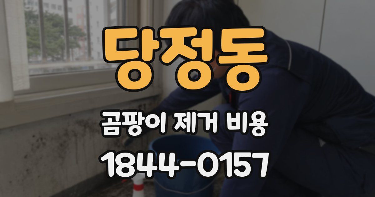당정동 곰팡이 제거 비용