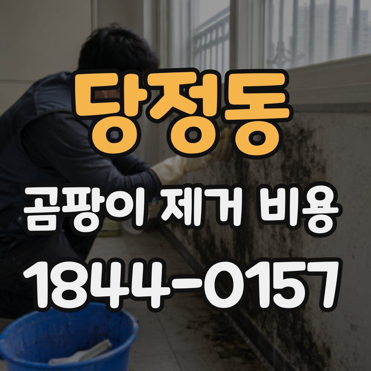 당정동 곰팡이 제거 비용