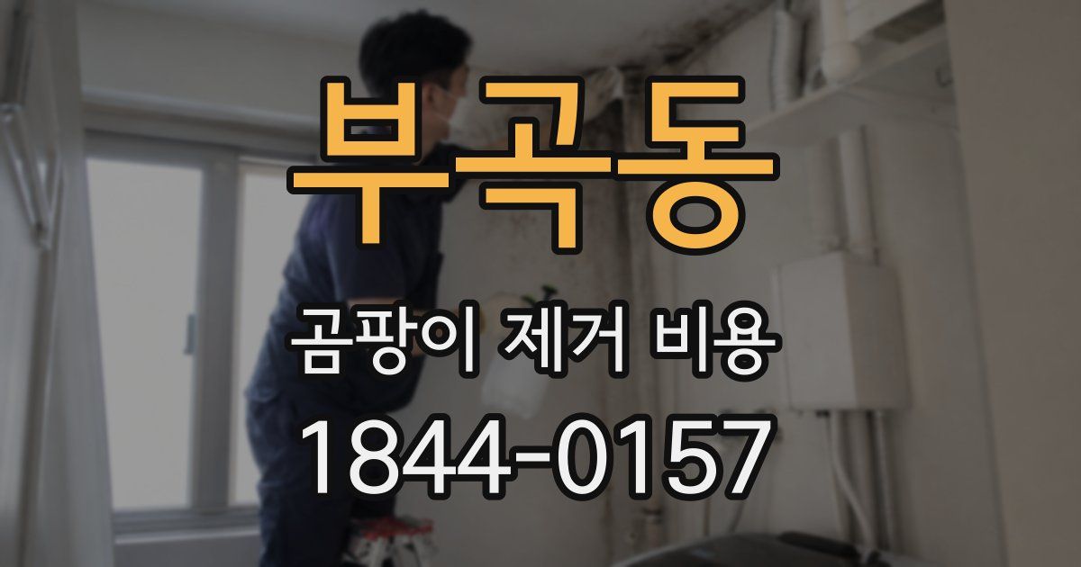 부곡동 곰팡이 제거 비용
