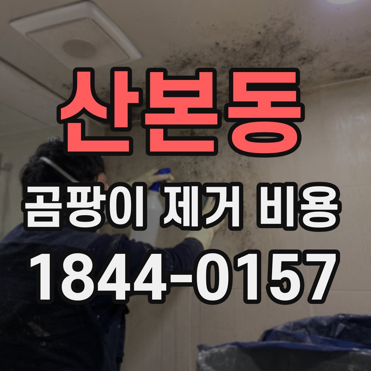 산본동 곰팡이 제거 비용