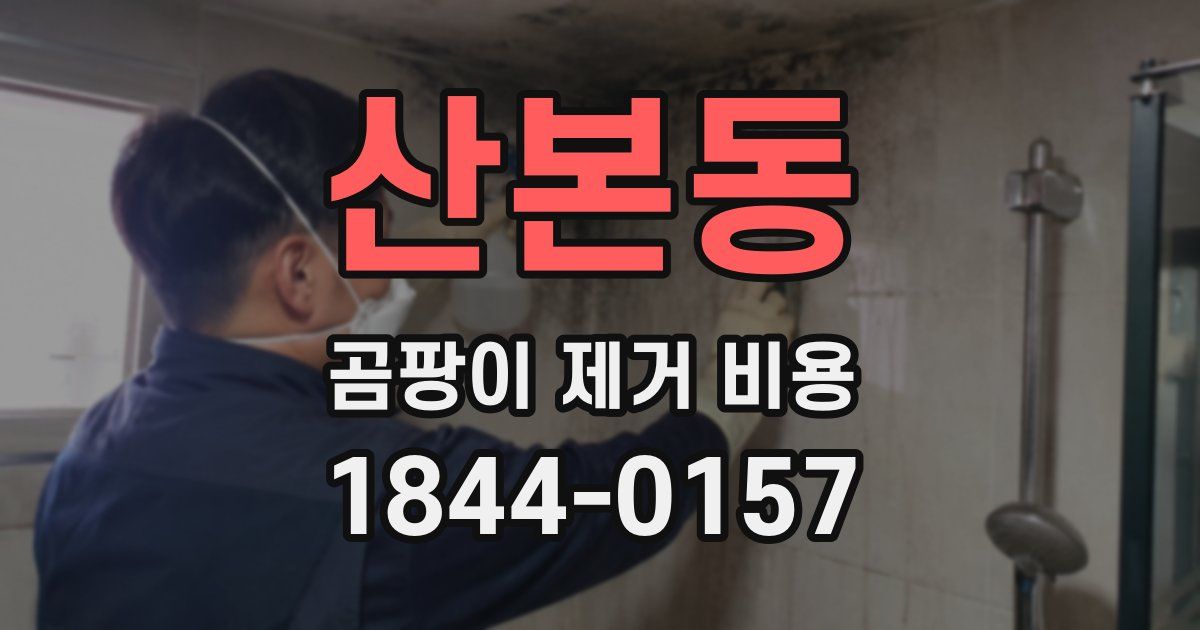 산본동 곰팡이 제거 비용