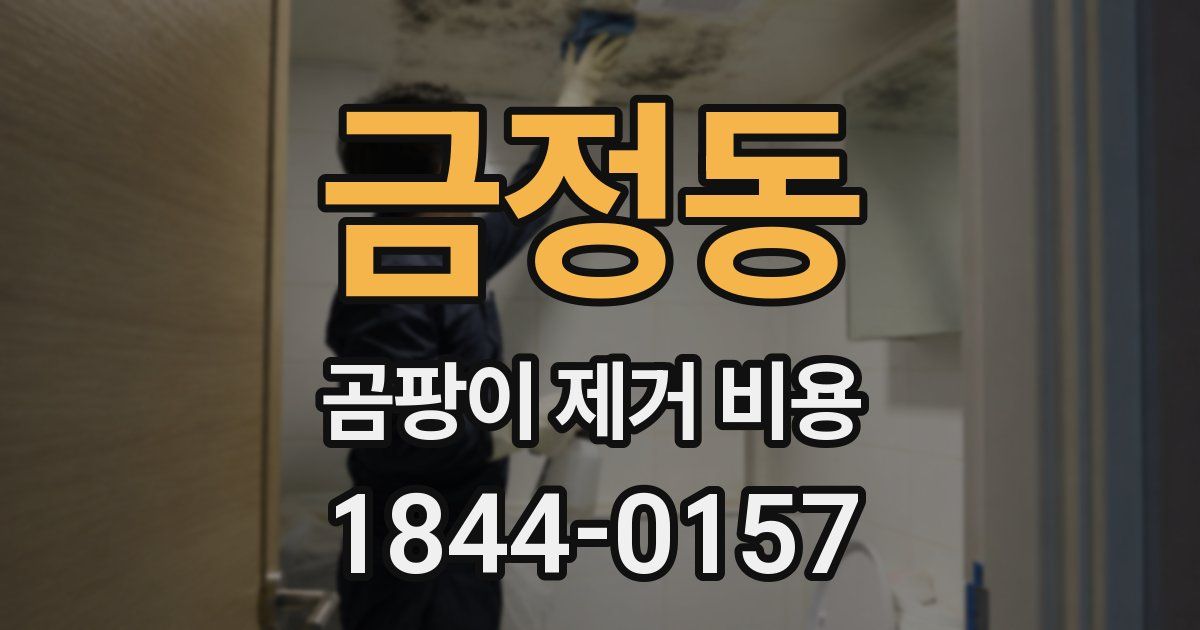 금정동 곰팡이 제거 비용