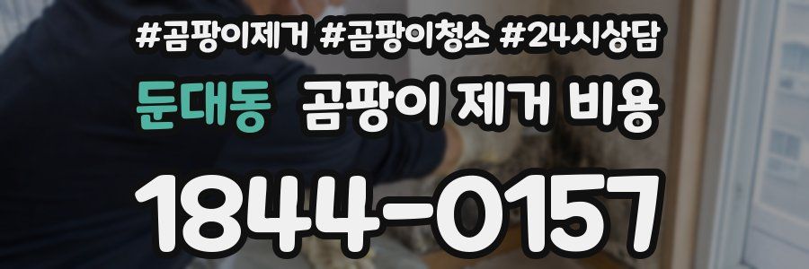 둔대동 곰팡이 제거 비용