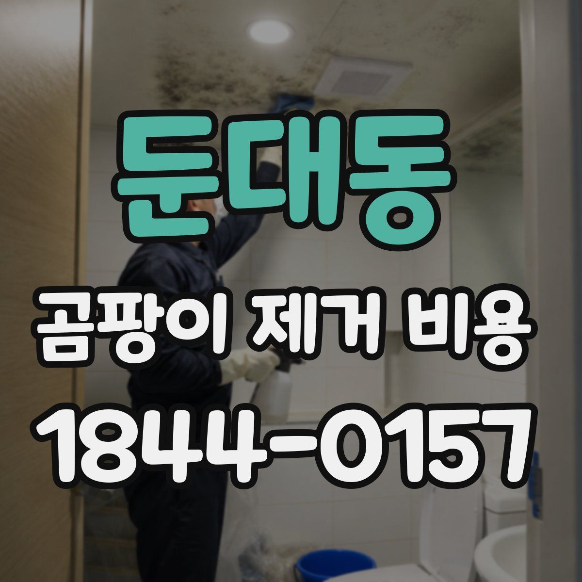둔대동 곰팡이 제거 비용